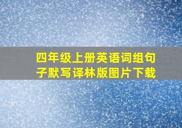 四年级上册英语词组句子默写译林版图片下载