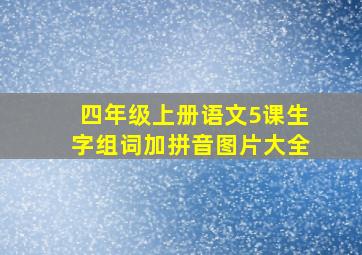 四年级上册语文5课生字组词加拼音图片大全