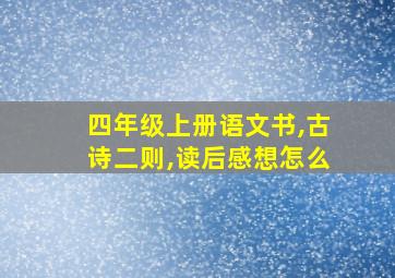 四年级上册语文书,古诗二则,读后感想怎么