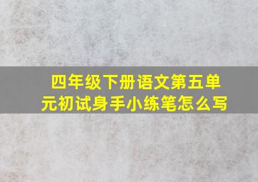 四年级下册语文第五单元初试身手小练笔怎么写