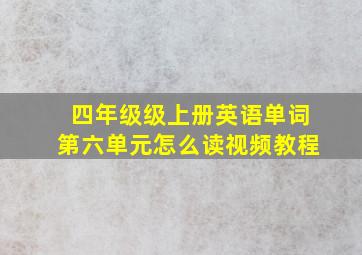 四年级级上册英语单词第六单元怎么读视频教程