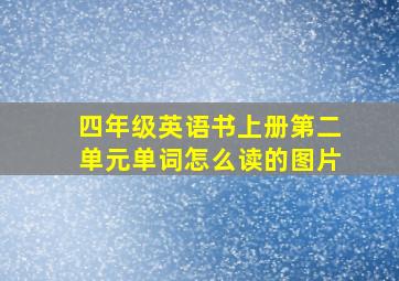 四年级英语书上册第二单元单词怎么读的图片