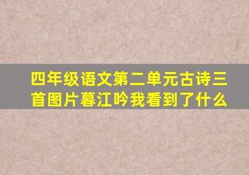 四年级语文第二单元古诗三首图片暮江吟我看到了什么