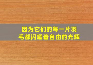 因为它们的每一片羽毛都闪耀着自由的光辉