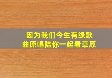 因为我们今生有缘歌曲原唱陪你一起看草原