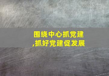 围绕中心抓党建,抓好党建促发展