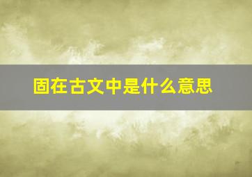 固在古文中是什么意思