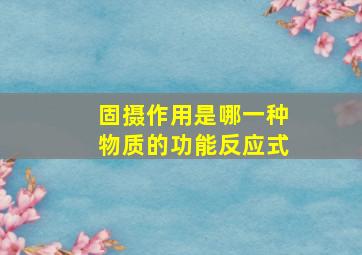 固摄作用是哪一种物质的功能反应式