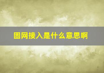 固网接入是什么意思啊