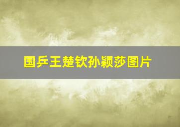 国乒王楚钦孙颖莎图片