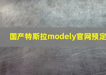 国产特斯拉modely官网预定