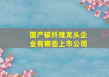 国产碳纤维龙头企业有哪些上市公司