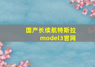 国产长续航特斯拉model3官网