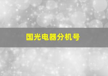 国光电器分机号