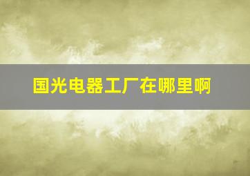 国光电器工厂在哪里啊