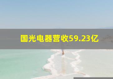 国光电器营收59.23亿