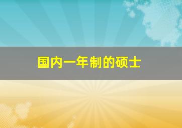 国内一年制的硕士