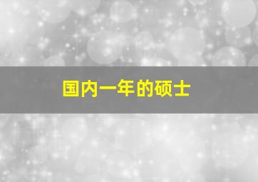 国内一年的硕士