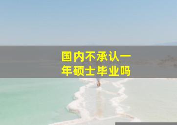 国内不承认一年硕士毕业吗