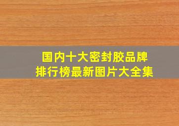 国内十大密封胶品牌排行榜最新图片大全集