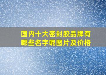 国内十大密封胶品牌有哪些名字呢图片及价格