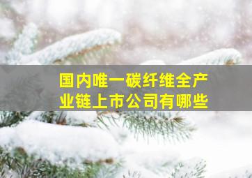 国内唯一碳纤维全产业链上市公司有哪些