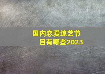 国内恋爱综艺节目有哪些2023