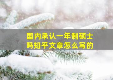 国内承认一年制硕士吗知乎文章怎么写的