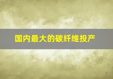 国内最大的碳纤维投产