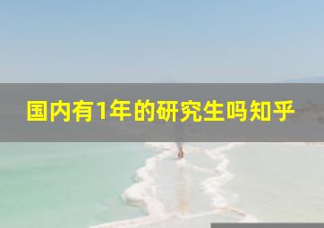 国内有1年的研究生吗知乎