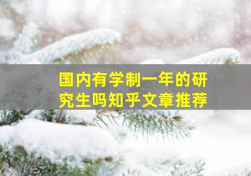 国内有学制一年的研究生吗知乎文章推荐