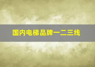 国内电梯品牌一二三线