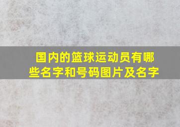 国内的篮球运动员有哪些名字和号码图片及名字