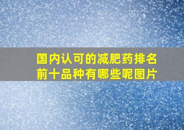 国内认可的减肥药排名前十品种有哪些呢图片