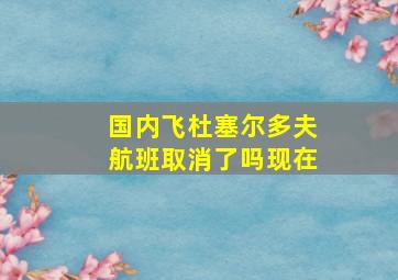 国内飞杜塞尔多夫航班取消了吗现在