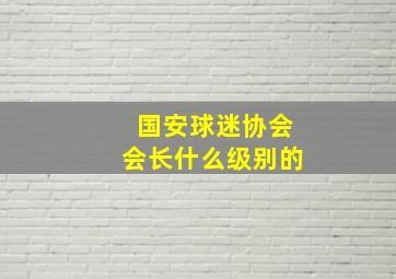 国安球迷协会会长什么级别的