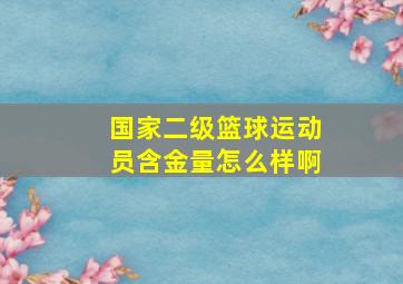 国家二级篮球运动员含金量怎么样啊