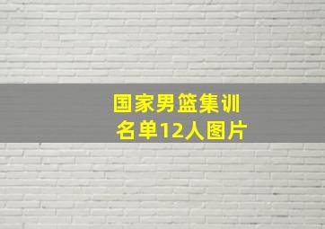 国家男篮集训名单12人图片