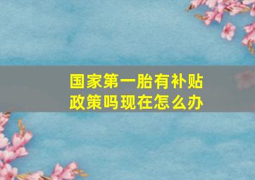 国家第一胎有补贴政策吗现在怎么办