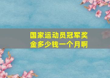 国家运动员冠军奖金多少钱一个月啊