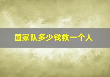 国家队多少钱救一个人