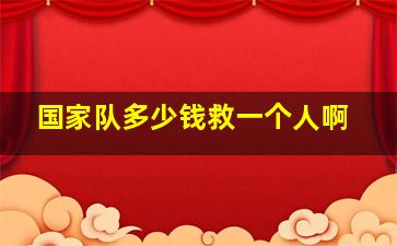 国家队多少钱救一个人啊