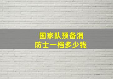 国家队预备消防士一档多少钱