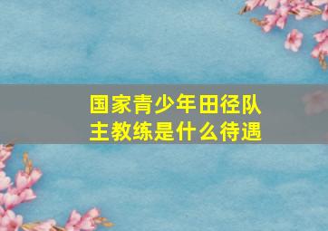 国家青少年田径队主教练是什么待遇