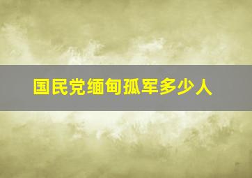 国民党缅甸孤军多少人