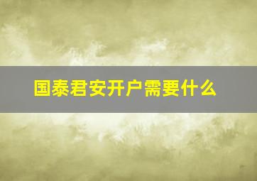 国泰君安开户需要什么