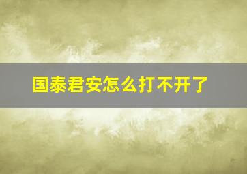 国泰君安怎么打不开了