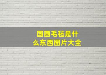 国画毛毡是什么东西图片大全