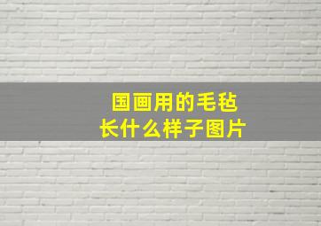 国画用的毛毡长什么样子图片