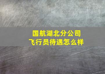 国航湖北分公司飞行员待遇怎么样